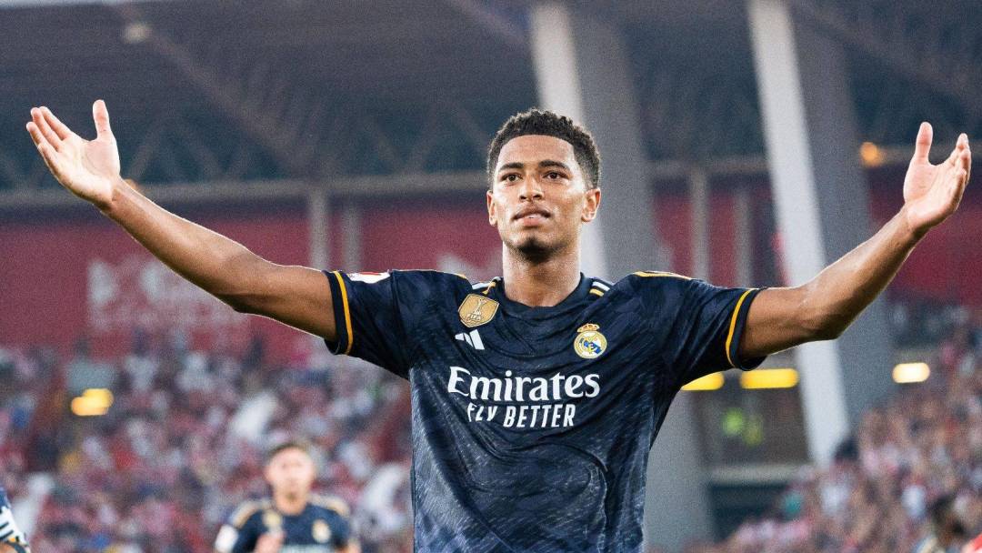 应用了这一 应用了这一