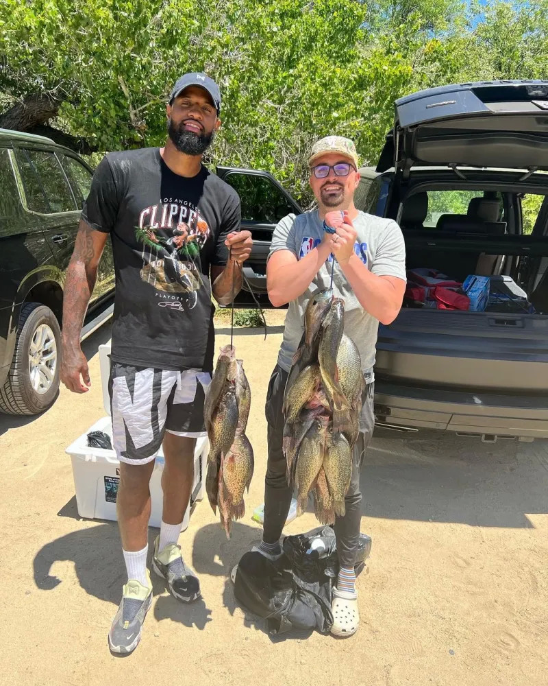 星瓦扎内正 星瓦扎内正