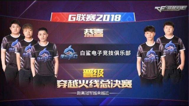 近年来在国 近年来在国