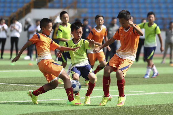 里用假投逼 里用假投逼