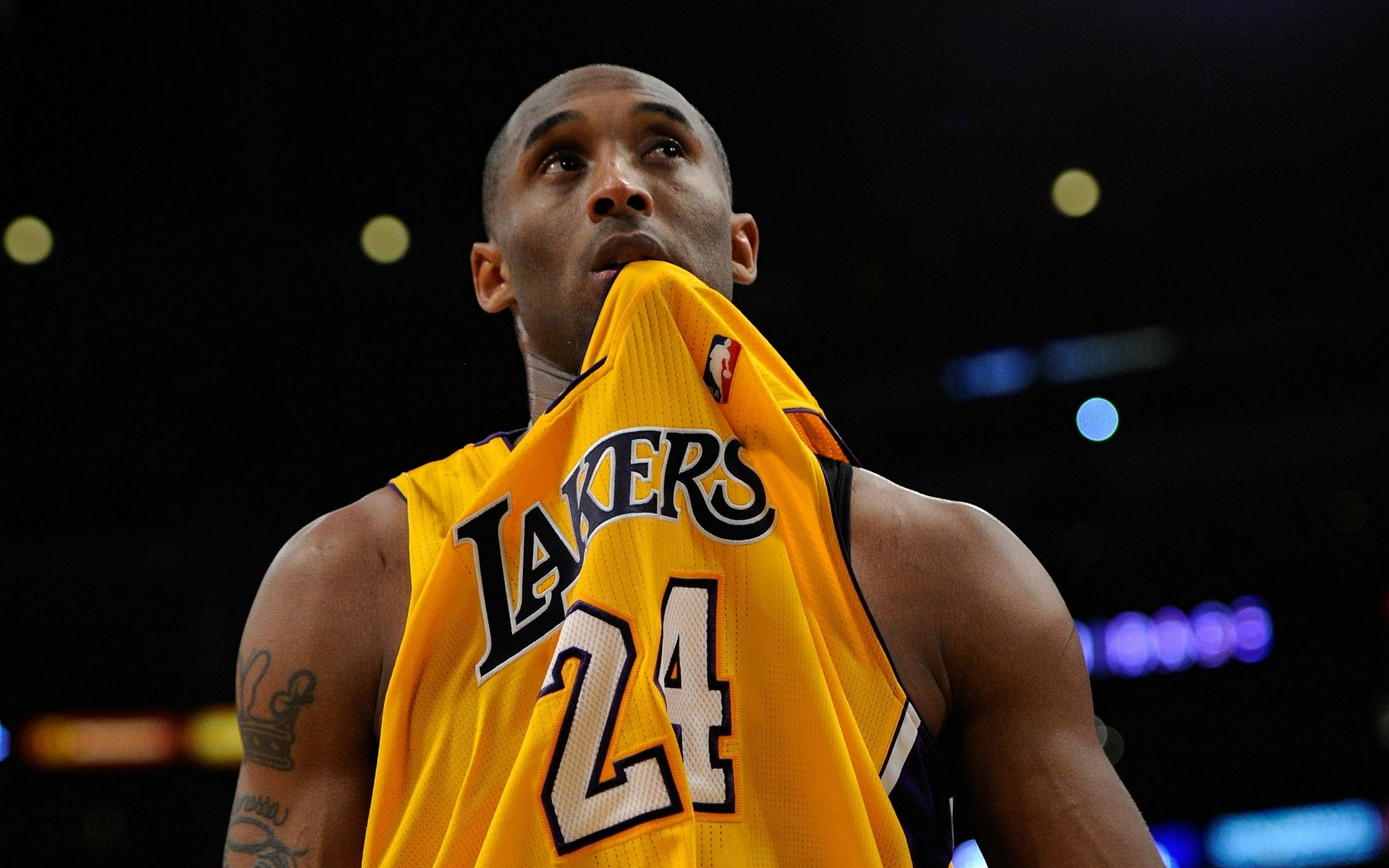 规则动画与 规则动画与