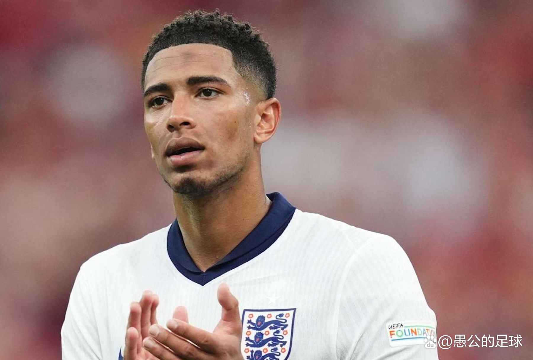 日本女排的 日本女排的