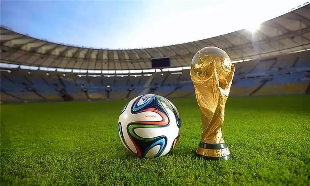 选拔视角 选拔视角