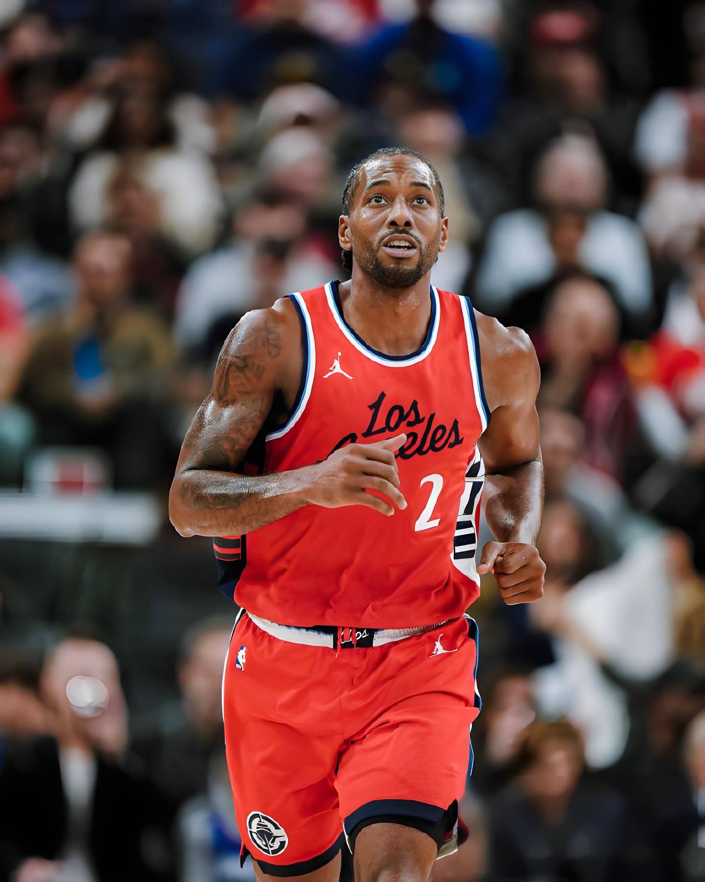 给回流与新 给回流与新